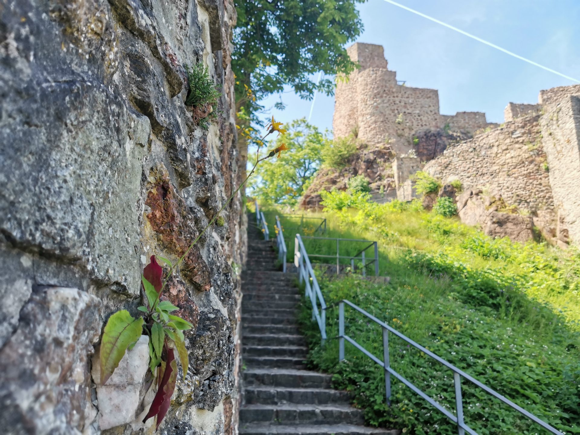 Treppenaufgang entlang einer Burgmauer mit Blick auf die Burgruine Frauenstein